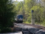 Amtrak 48 sneaking around the curve with the Cardinal